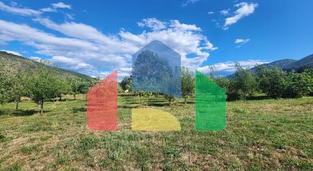 ПРОДАЁТСЯ – Дом с большим участком и фруктовым садом, рядом с Даниловградом ПРОДАЁТСЯ – Дом с большим участком и фруктовым садом, рядом с Даниловградом