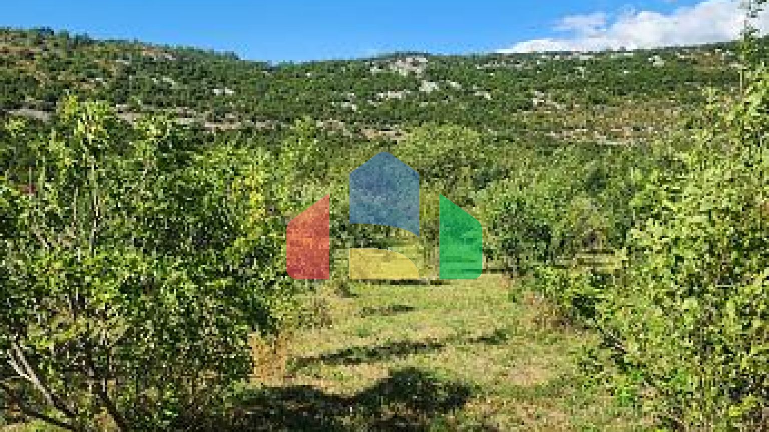 ПРОДАЁТСЯ – Дом с большим участком и фруктовым садом, рядом с Даниловградом