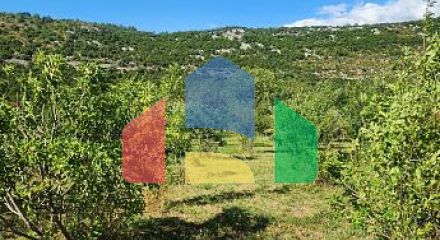 ПРОДАЁТСЯ – Дом с большим участком и фруктовым садом, рядом с Даниловградом ПРОДАЁТСЯ – Дом с большим участком и фруктовым садом, рядом с Даниловградом