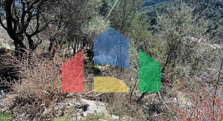 Urbanized plot in Herceg Novi with a sea view