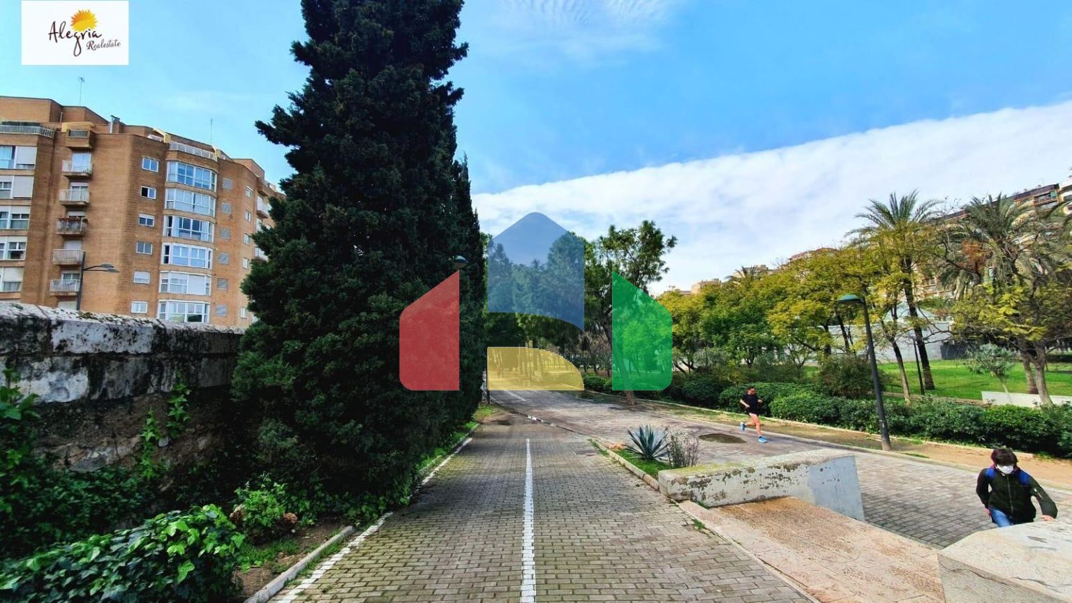 Апартаменты в Valencia ID V226