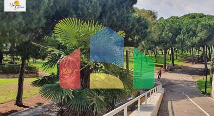 Апартаменты в Valencia ID V226 Апартаменты в Valencia ID V226