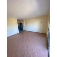 1+1 with balcony, Golem area, 67 sq.m