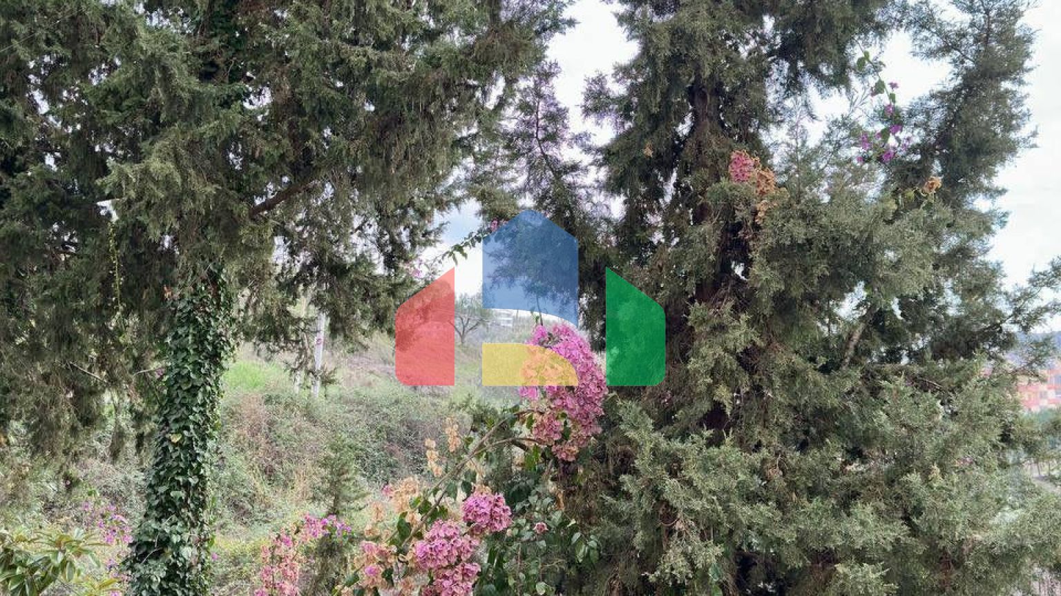 Студия, р-н Шкемби, 29 м.кв