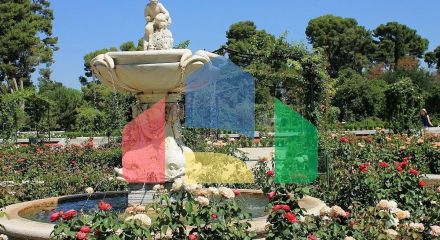 Апартаменты в Madrid ID MPA133