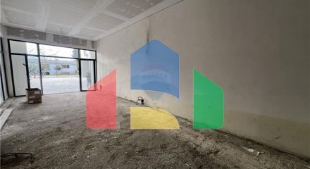 Commercial - Shop Single Tenant - Vlorë, Vlorë, Vlorë - AL Commercial - Shop Single Tenant - Vlorë, Vlorë, Vlorë - AL