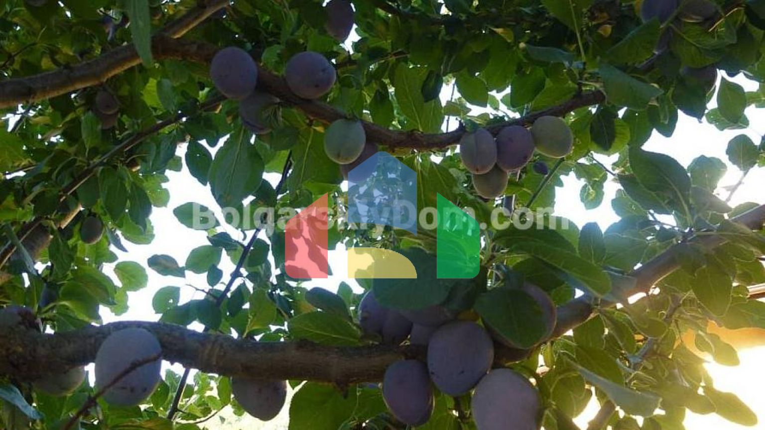 Будинок в Балчику