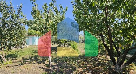 Будинок в Тристиково