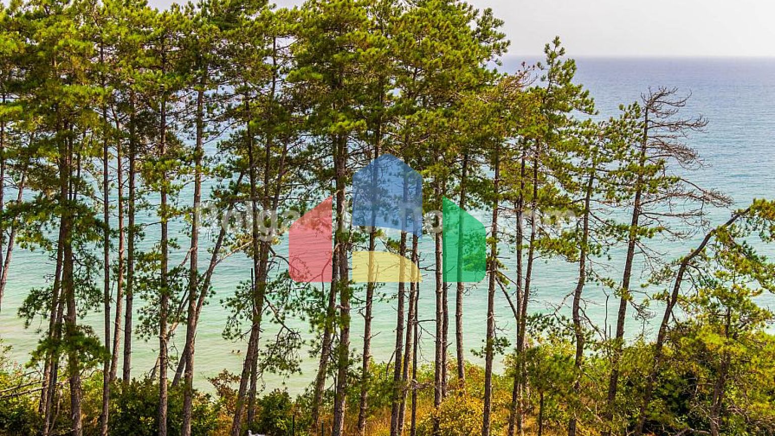 Квартиры от застройщика в Опен Си Резиденс