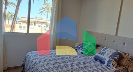 Apartments in Alicante ID 72752
