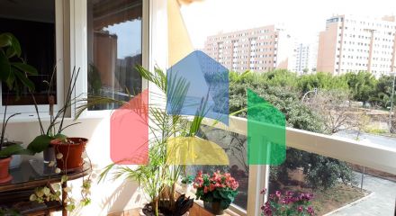 Апартаменты в Аликанте ID 72807