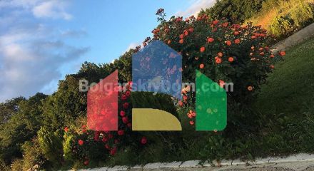 Вилла в Кошарице