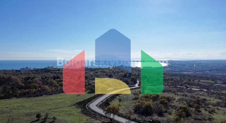 Квартири від забудовника в Грін Форест