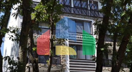 Грін Парадайз 2