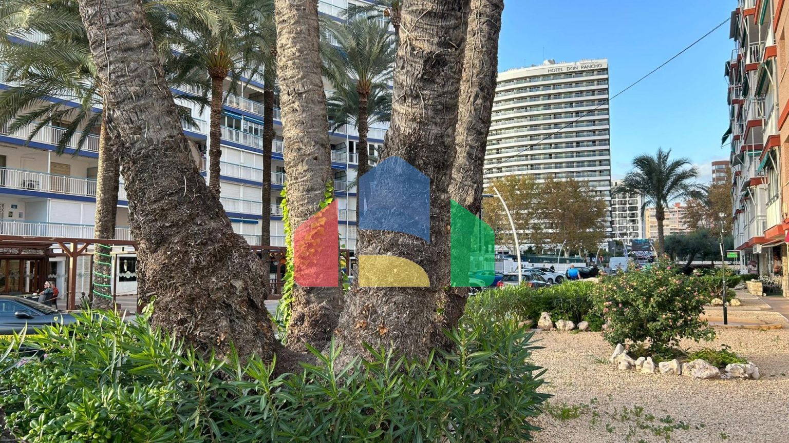 Светлая квартира на первой линии пляжа Леванте в Бенидорме