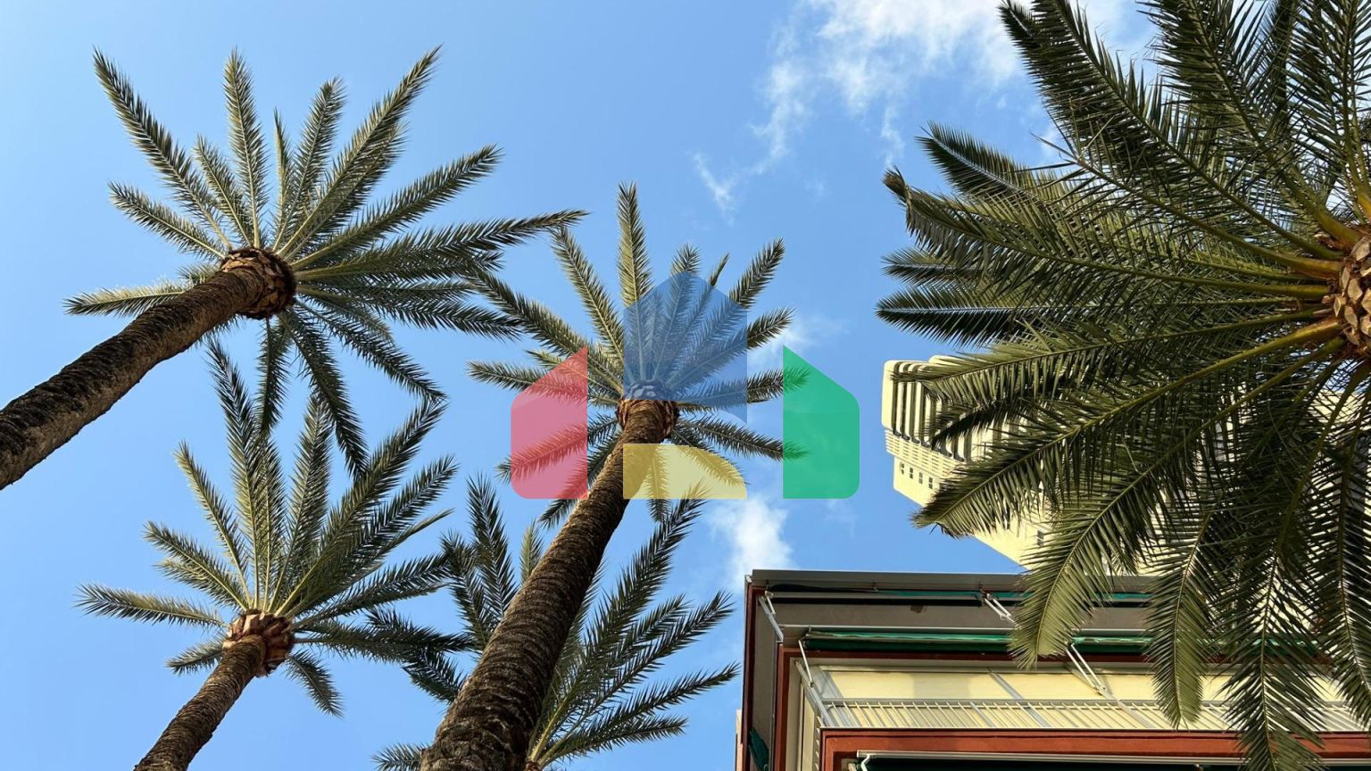 Светлая квартира на первой линии пляжа Леванте в Бенидорме