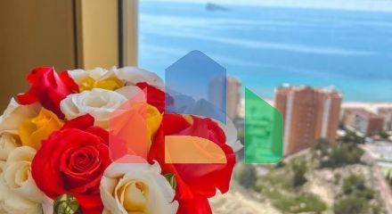 Апартаменты с туристической лицензией в Интемпо