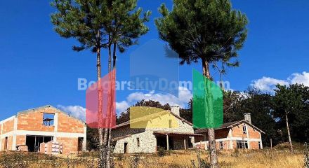 Дома в Присельцах