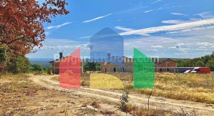 Дома в Присельцах