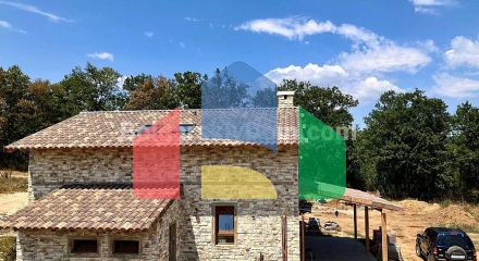 Дома в Присельцах