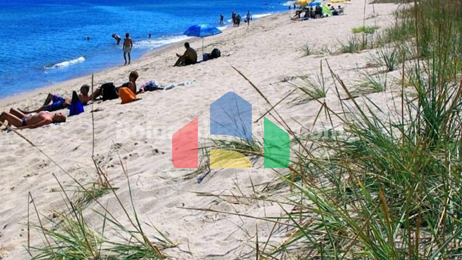 Дома в Присельцах