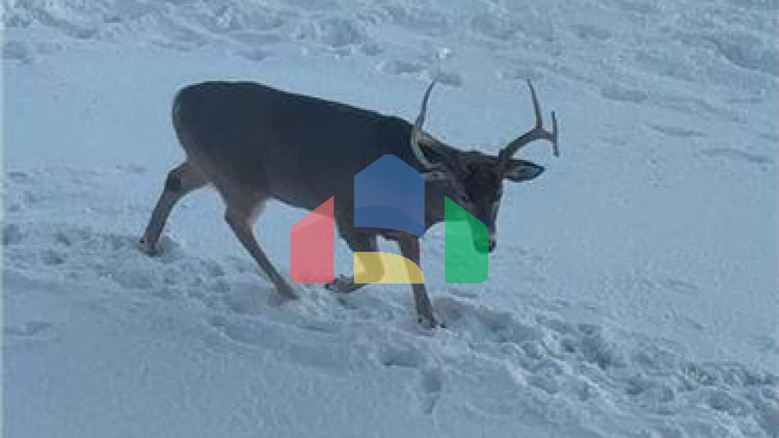 Residential - Condo/Apartment - Brampton, Canada - Canada