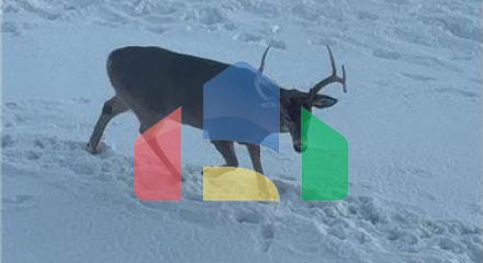 Residential - Condo/Apartment - Brampton, Canada - Canada