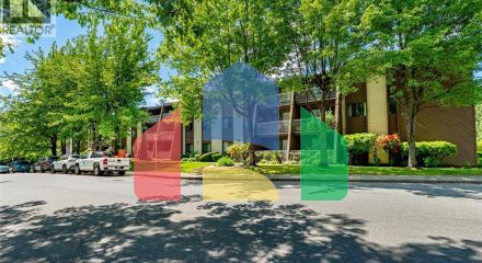 Residential - Condo/Apartment - Burnaby, Canada - Canada