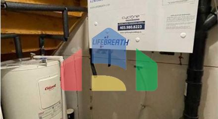 Residential - Condo/Apartment - Calgary, Canada - Canada