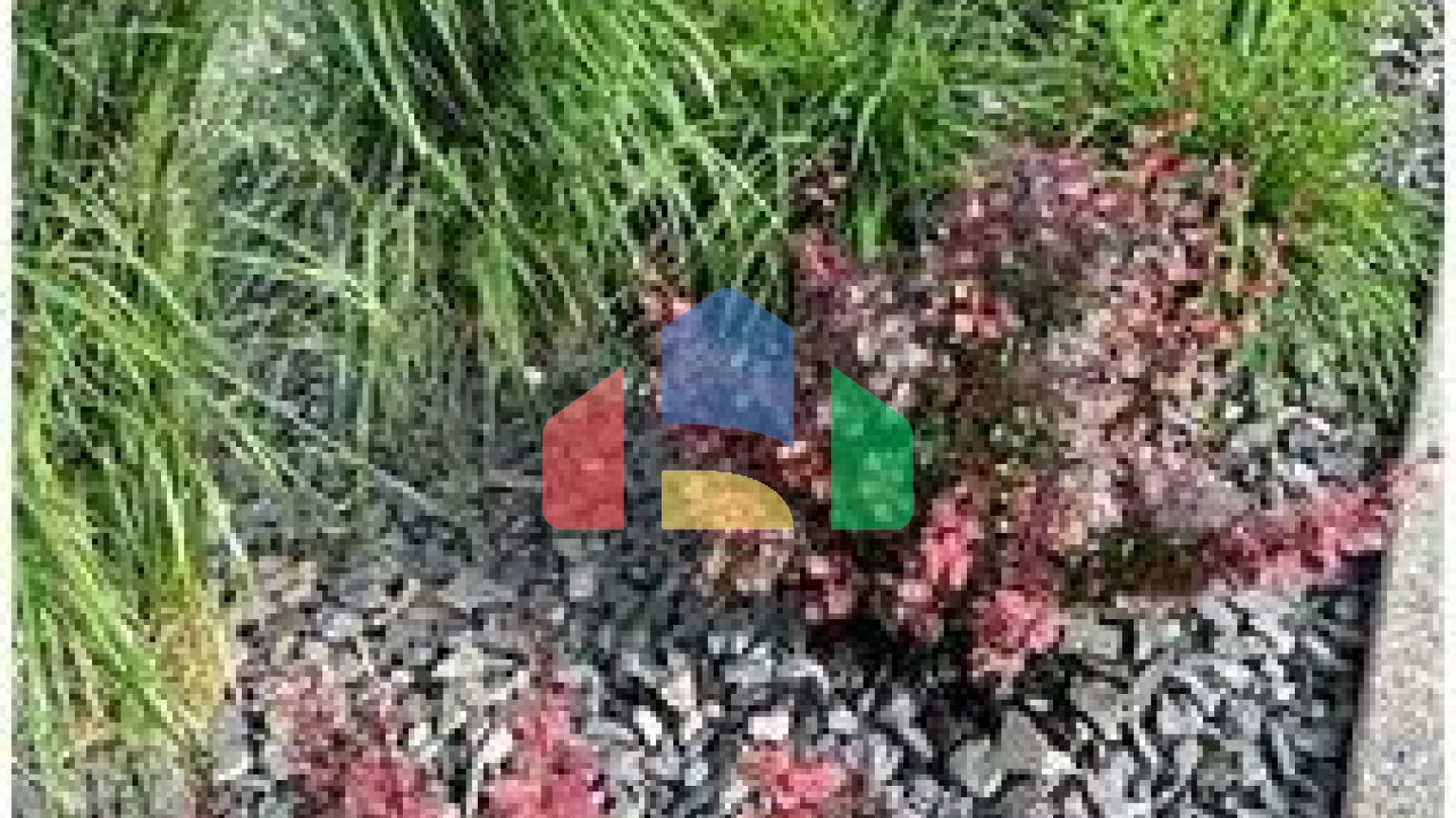 Residential - Single Family Home - Calgary, Canada - Canada