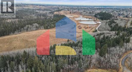 Residential - Condo/Apartment - Calgary, Canada - Canada