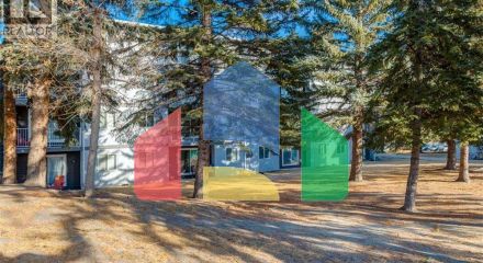 Residential - Condo/Apartment - Calgary, Canada - Canada