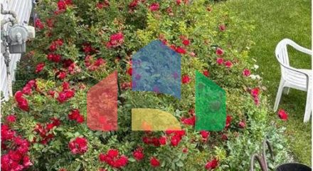 Residential - Single Family Home - Calgary, Canada - Canada