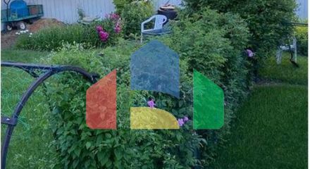 Residential - Single Family Home - Calgary, Canada - Canada