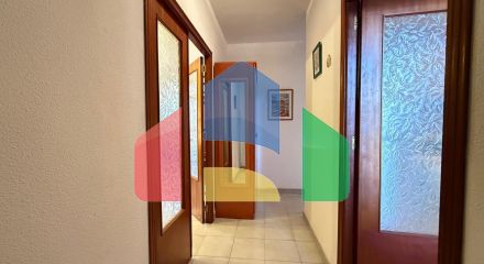 Apartments in Torrevieja ID B10841