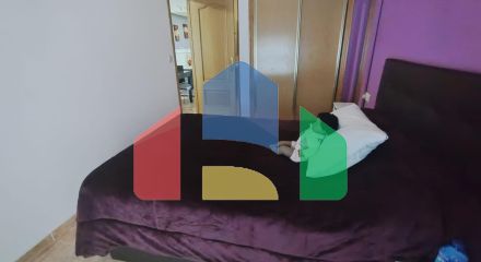 Апартаменты в Торревьеха ID A10235 Апартаменты в Торревьеха ID A10235