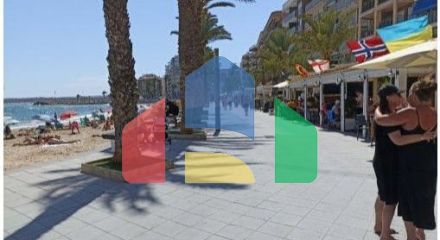 Студия в Торревьеха ID B10991