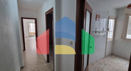 Apartments in Torrevieja ID Y2103121sgoleta