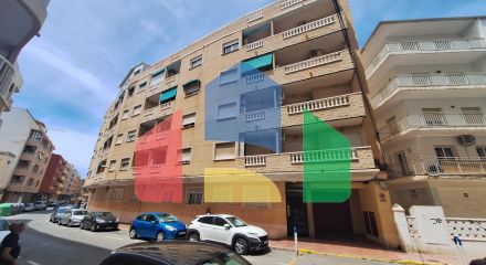 Apartments in Torrevieja ID B10901