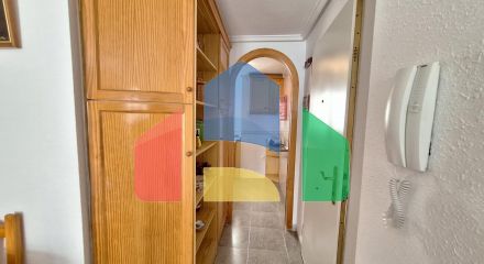 Apartments in Torrevieja ID B10901