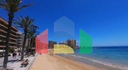 Апартаменты в Торревьеха ID B10984