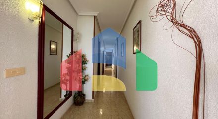 Apartments in Torrevieja ID A10375
