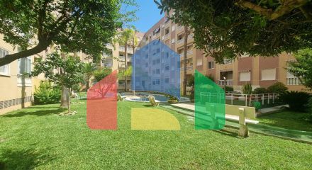 Апартаменты в Торревьеха ID A10673