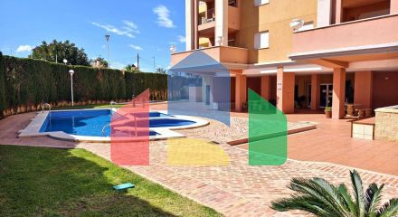 Apartments in Torrevieja ID B10968