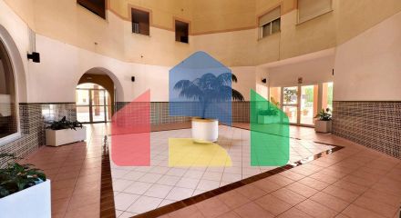 Apartments in Torrevieja ID B10968