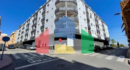 Apartments in Torrevieja ID B11024