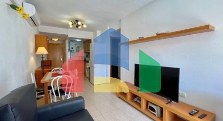 Apartments in Torrevieja ID B11024