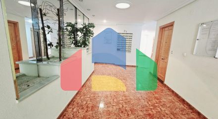 Апартаменты в Торревьеха ID B10724