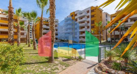 Апартаменты в Торревьеха ID B10768