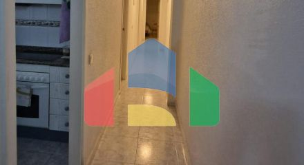 Apartments in Torrevieja ID B10691